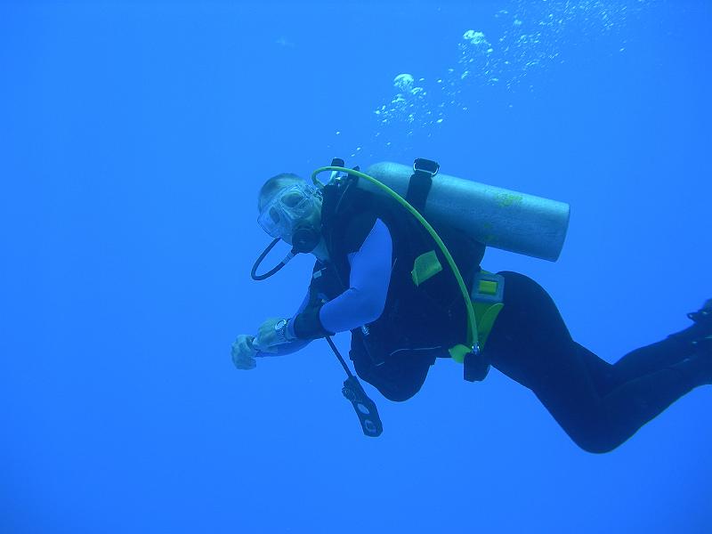 MANGROVE 07  2008 268.jpg